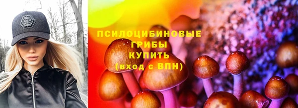 гидропоника Зерноград